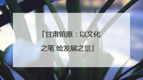 甘肃镇原：以文化之笔 绘发展之景